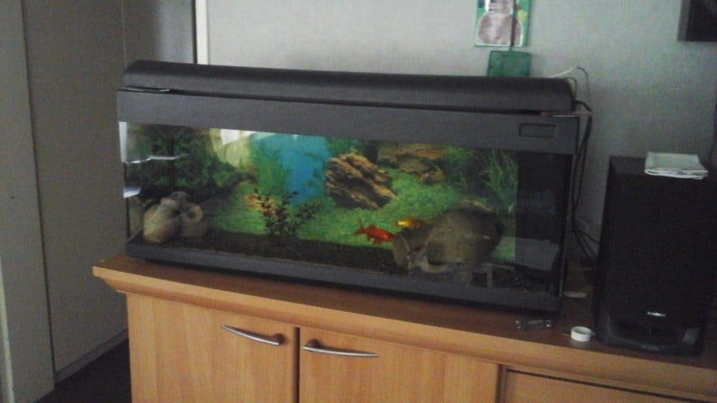 Herbegonen met mn eerste hobby
