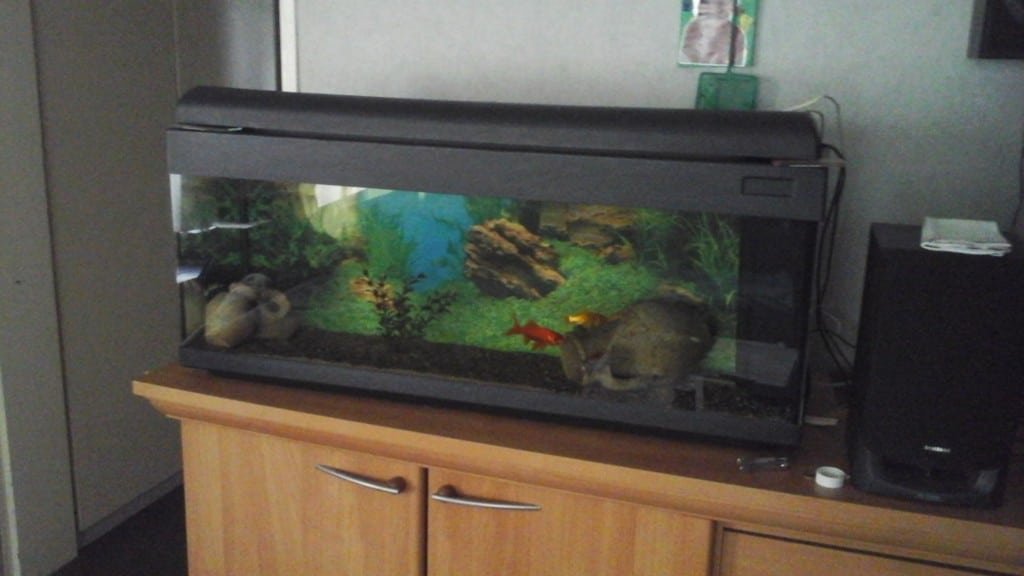 Herbegonen met mn eerste hobby