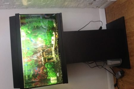 Mijn aquarium in opstartfase