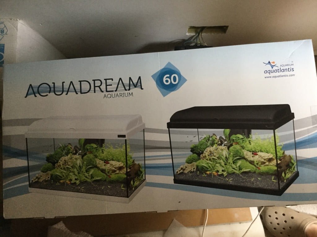 Toekomstige barbeel visjes 1