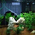 Dennerle nano cube 60 1