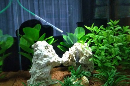 Dennerle nano cube 60 1