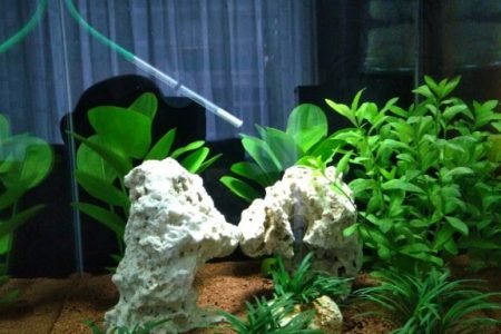 Dennerle nano cube 60