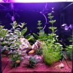 Nieuwe led verlichting