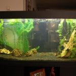 Zo begon het in 2014