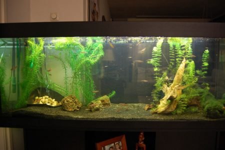 Zo begon het in 2014