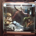 mijn 2e bakje ben hier nog volop aan bezig is nog niet klaar