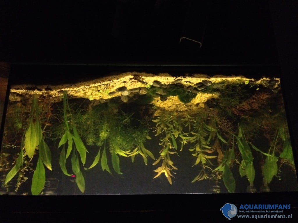 Aquarium