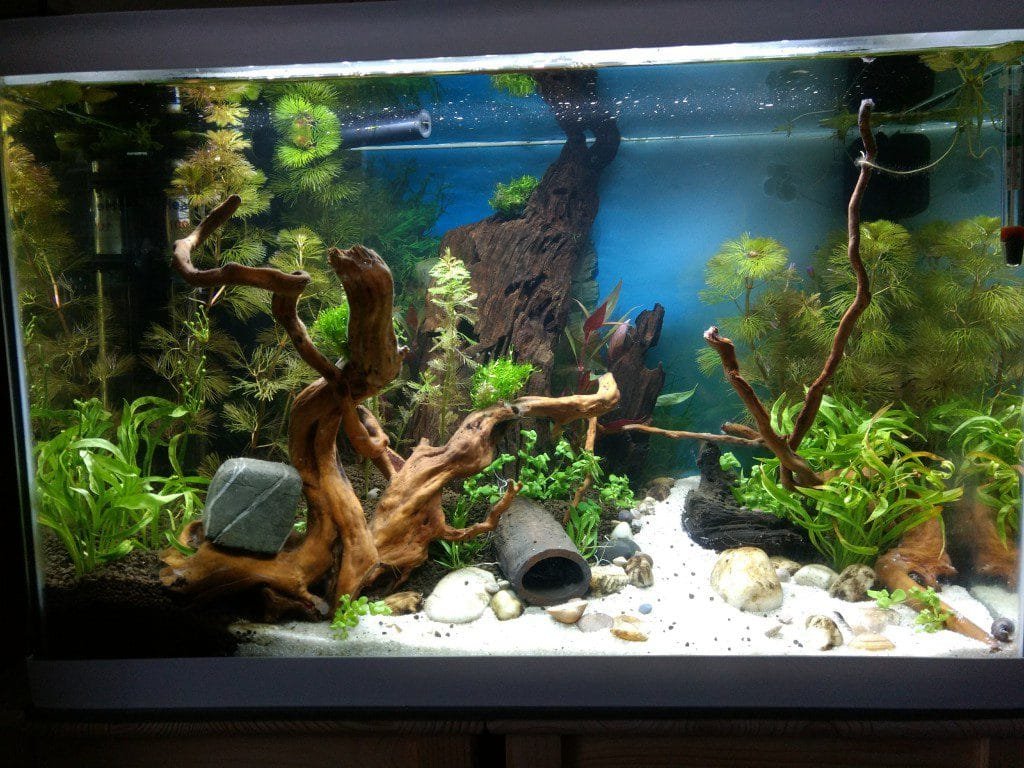 Alle plantjes staan erin