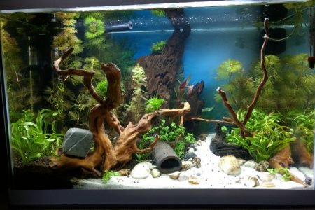 Alle plantjes staan erin