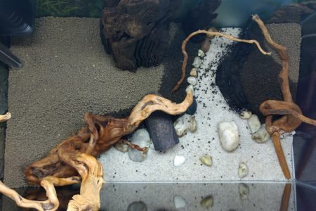 Hardscape boven aanzicht