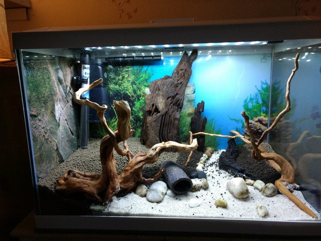 Hardscape voor aanzicht