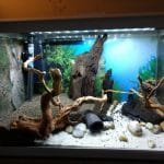 Hardscape voor aanzicht