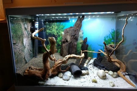 Hardscape voor aanzicht