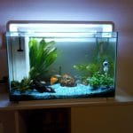 Mijn 60 L aquariumpje