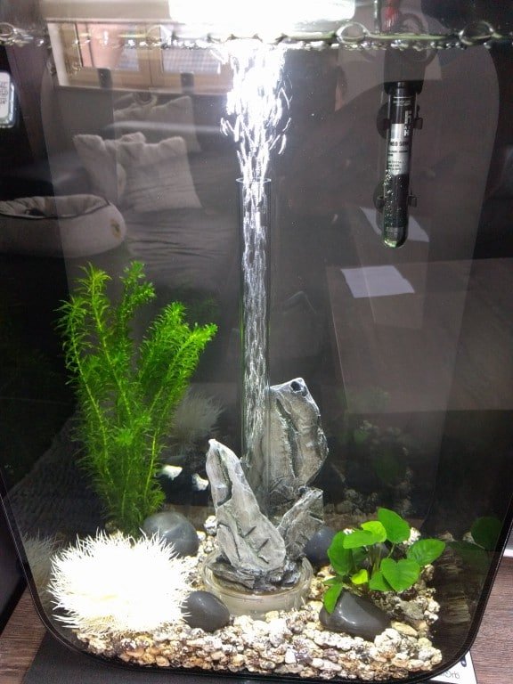 Mijn aquarium 2
