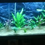 Planten met de nieuwe led verlichting 1