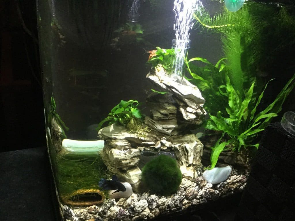 Rechterzijde vanuit keuken 1 e1517472546969