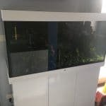 Opstart nieuwe aquarium