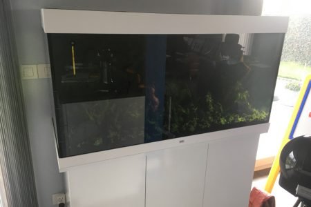 Opstart nieuwe aquarium