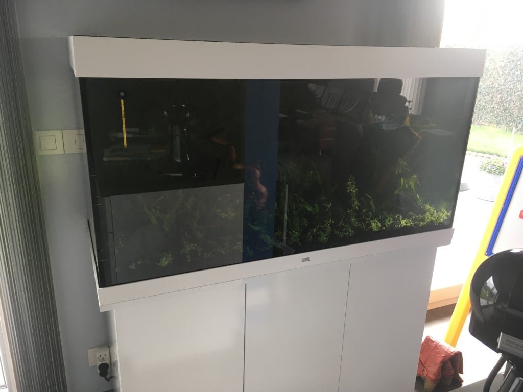 Opstart nieuwe aquarium