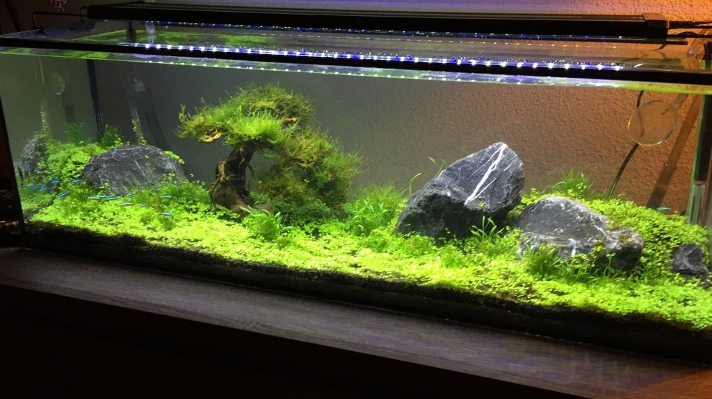 Week 3 1