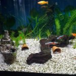 Gezonken boot stronk en kleine bloempotjes