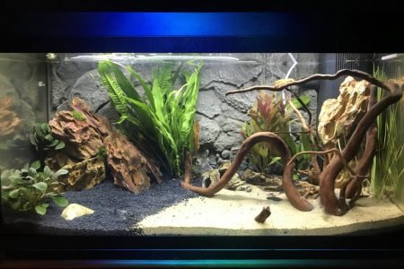 Aquarium