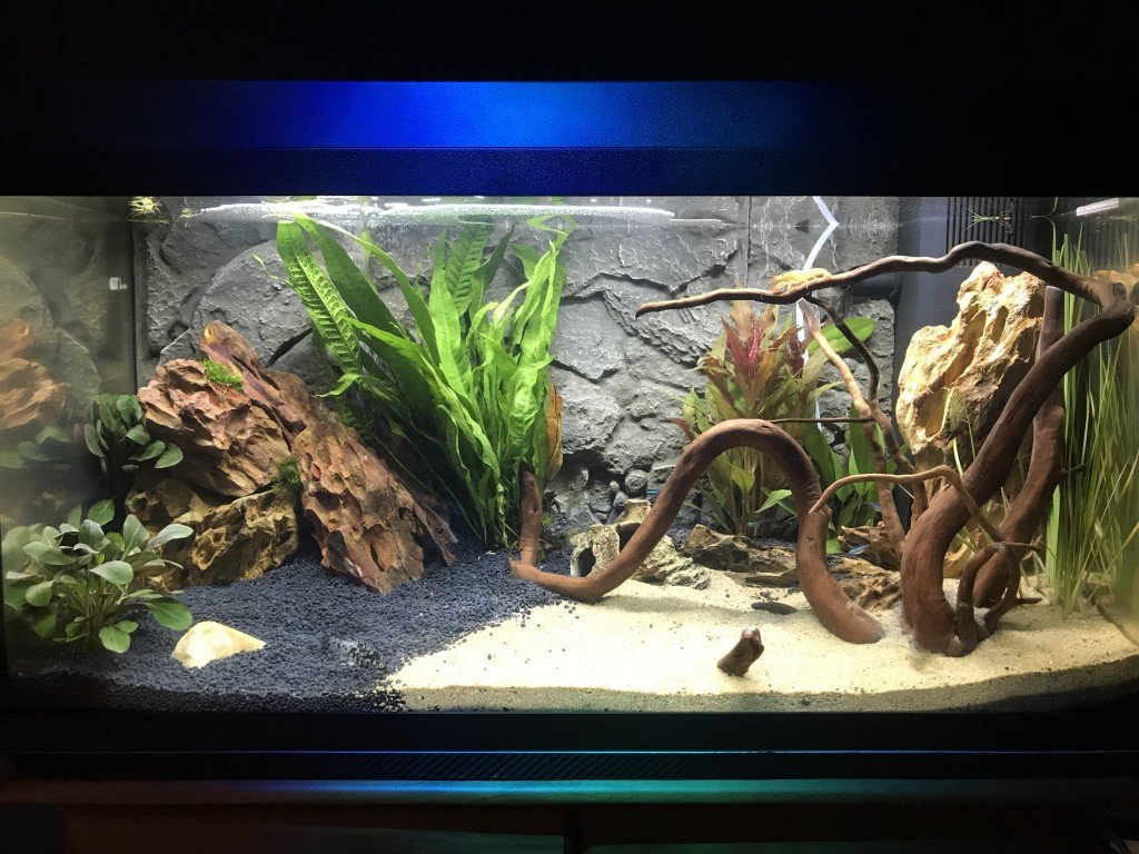 Aquarium