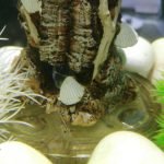 Freddy helpt mij om mijn bakje schoon te houden