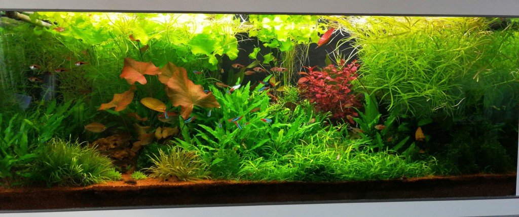 Alle lichten staan nu aan m.u.v. de led. Op een later tijdstip gaan er twee tl's uit en pas op het eind van de avond gaat de led aan.