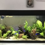 Led verlichting met kleuren leds op de achtergrond (ook erg mooi als maan licht)