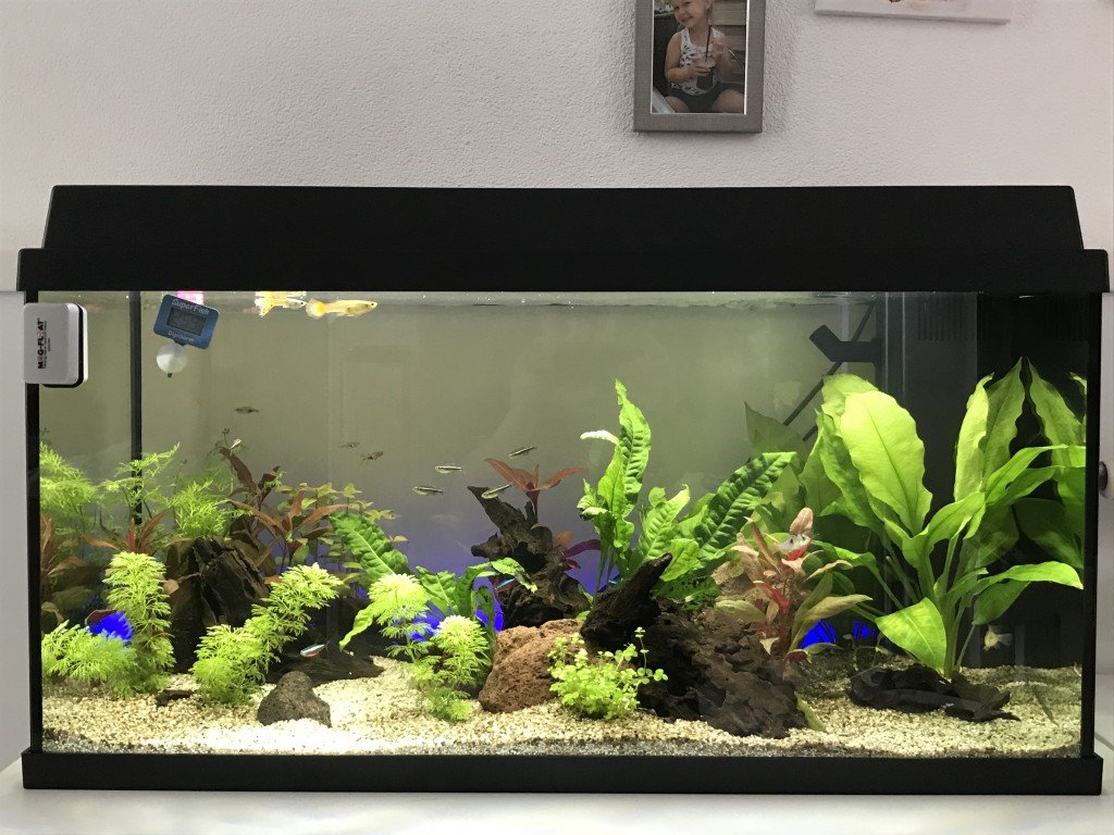 Led verlichting met kleuren leds op de achtergrond (ook erg mooi als maan licht)