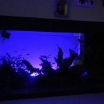 Nacht (nachtlamp staat nog 2 uur aan na dat het licht uit is)