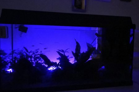 Nacht (nachtlamp staat nog 2 uur aan na dat het licht uit is)