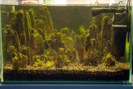 Na 6 weken afgevuld, belichting 8 uur per dag