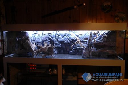 Achterwand in het aquarium