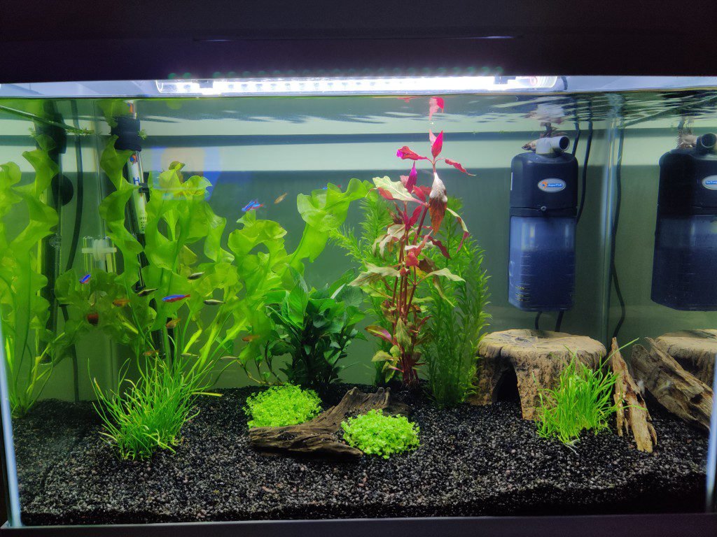 Onze eerste tank :)