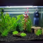 Onze eerste tank :)