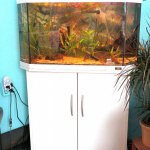 Dit aquarium heb ik samen met een buiten filter te 
koop
