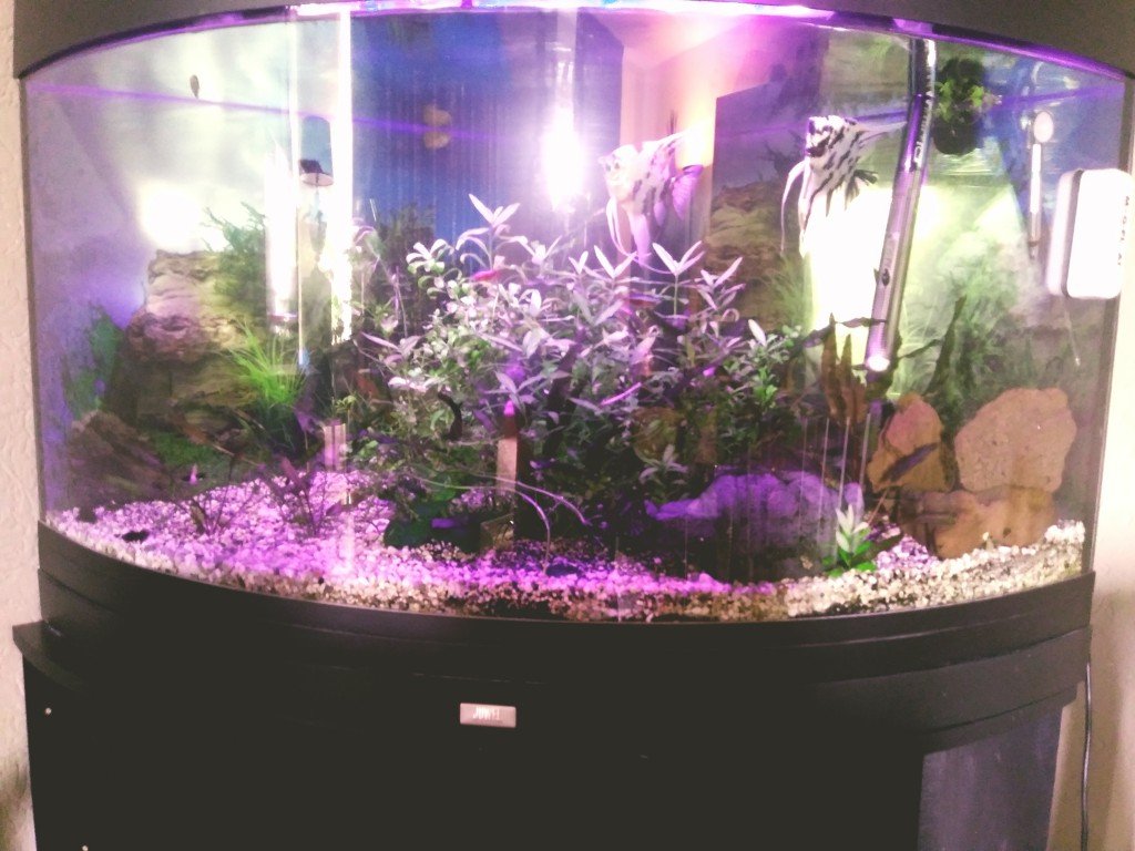 20 vissen rustige bak af en toe eitjes