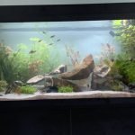 Gezellig beginners aquarium
