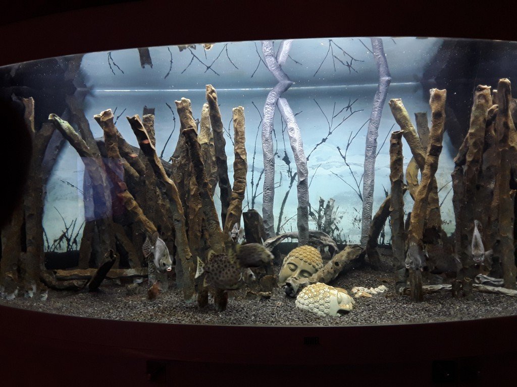 Speciaal Aquarium in opstart fase