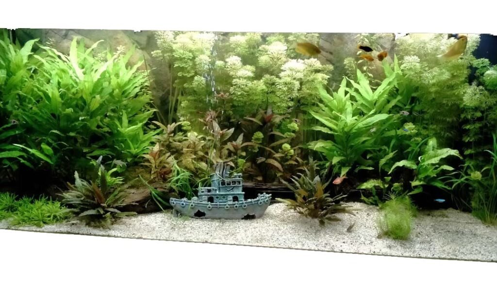 De vraag is niet te lezen.