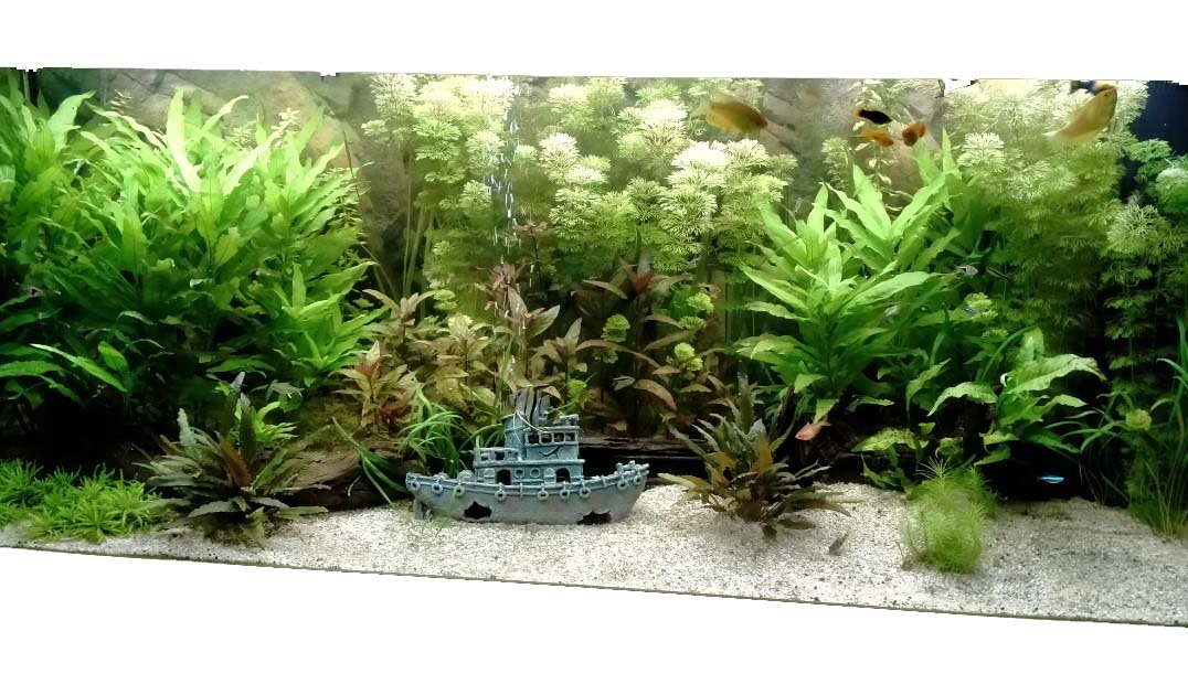 De vraag is niet te lezen.