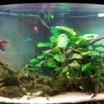 Toen waren ze nog klein ...