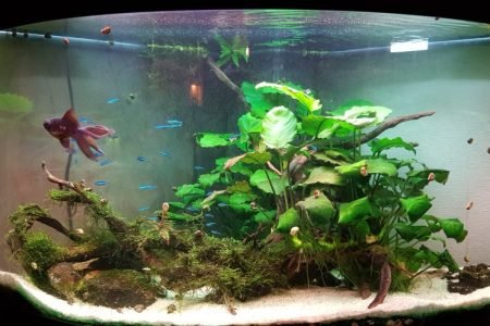 Toen waren ze nog klein ...