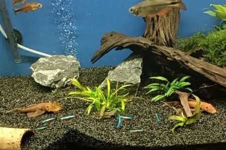 Deze man en vrouw mogen ook bijna verhuizen 